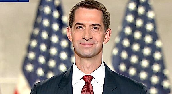 ‘There’s an internal fight’: Rand Paul charges Tom Cotton with concealing gain-of-function docs