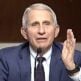 Dr. Anthony Fauci responds to Sen. Rand Paul, R-Ky., at a Senate hearing Jan. 11, 2022 (Video screenshot)